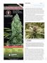 Page: - 112 | High Times