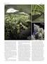 Page: - 76 | High Times