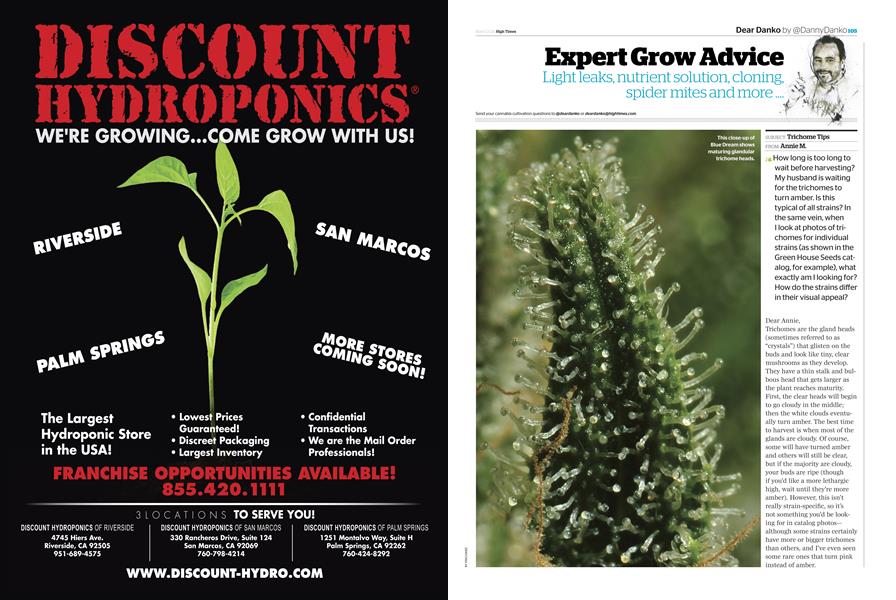 Expert Grow Advice