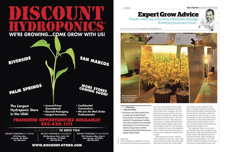 Expert Grow Advice