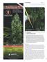 Page: - 112 | High Times