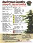 Page: - 142 | High Times