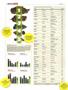 Page: - 38 | High Times