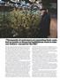Page: - 46 | High Times