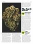 Page: - 69 | High Times
