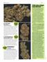Page: - 78 | High Times