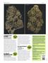 Page: - 80 | High Times