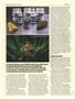 Page: - 86 | High Times