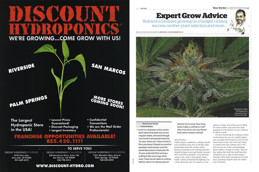 Expert Grow Advice