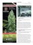 Page: - 118 | High Times