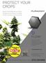 Page: - 129 | High Times