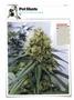 Page: - 134 | High Times