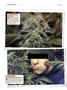 Page: - 136 | High Times