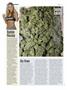 Page: - 24 | High Times