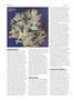 Page: - 68 | High Times