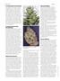 Page: - 70 | High Times