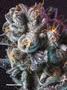 Page: - 78 | High Times