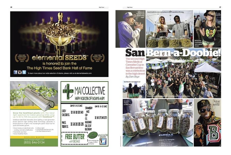 San Bern-a-Doobie!