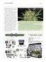 Page: - 110 | High Times