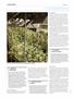 Page: - 114 | High Times