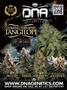Page: - 13 | High Times
