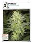 Page: - 136 | High Times