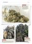 Page: - 138 | High Times