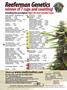 Page: - 150 | High Times