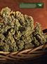 Page: - 17 | High Times
