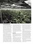 Page: - 68 | High Times