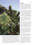 Page: - 93 | High Times