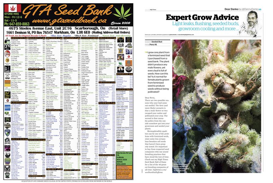 Expert Grow Advice