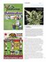 Page: - 134 | High Times