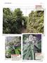 Page: - 154 | High Times