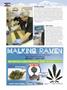Page: - 62 | High Times
