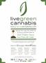 Page: - 64 | High Times