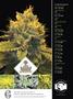 Page: - 73 | High Times