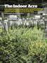 Page: - 80 | High Times