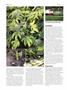 Page: - 88 | High Times