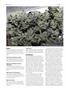 Page: - 94 | High Times