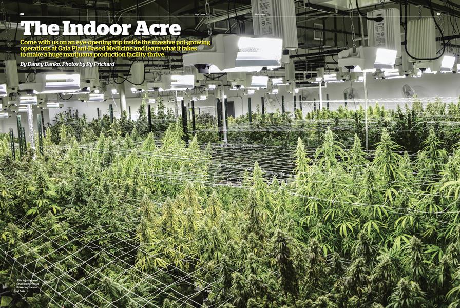 The Indoor Acre