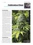 Page: - 109 | High Times
