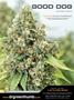 Page: - 123 | High Times