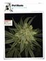 Page: - 136 | High Times