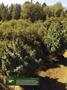 Page: - 18 | High Times