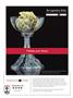 Page: - 7 | High Times