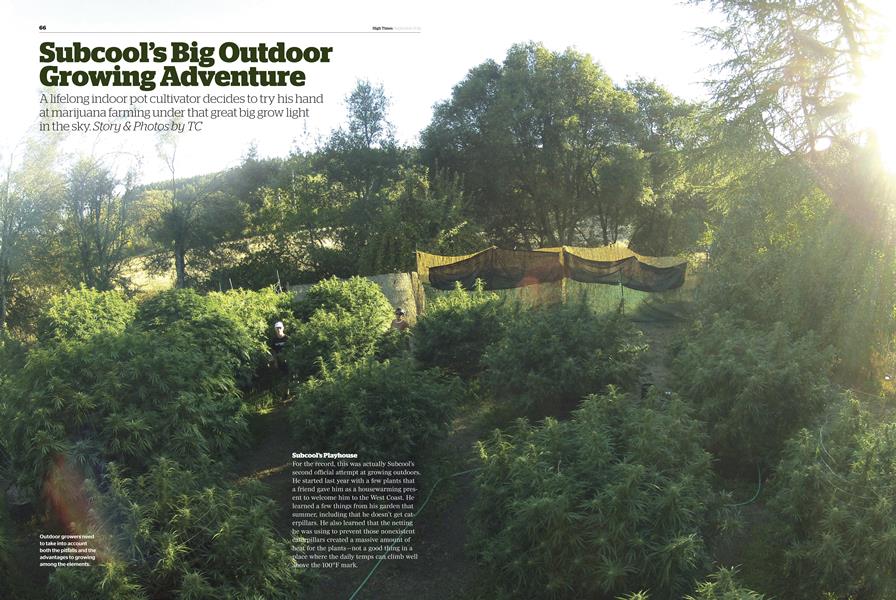 Subcool's Big Outdoor Growing Adventure