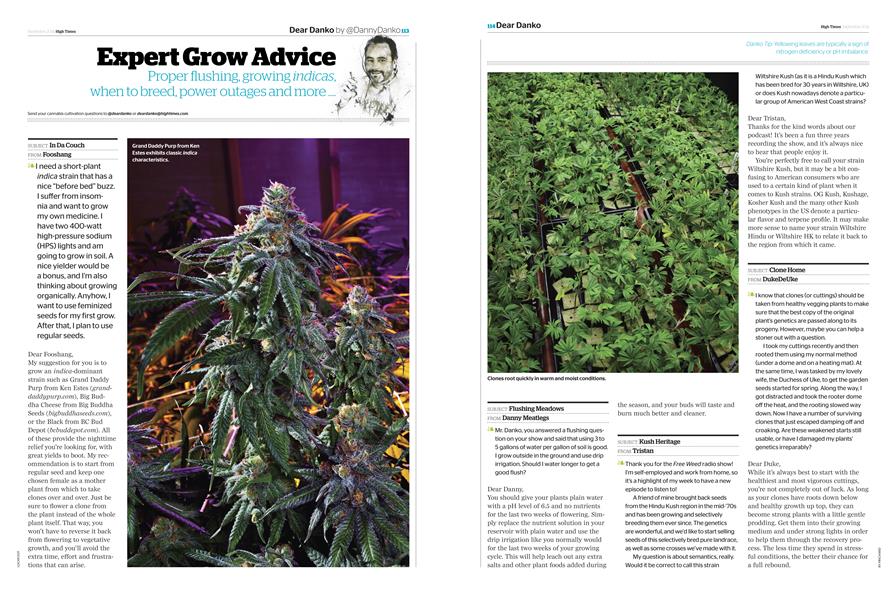 Expert Grow Advice