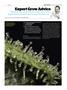 Page: - 113 | High Times