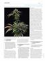 Page: - 114 | High Times